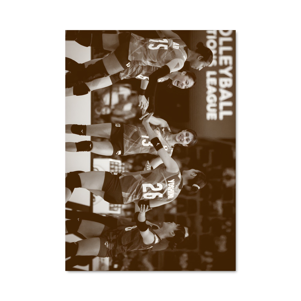 Poster Volleyball league rassemble
